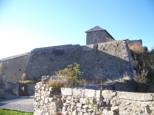 Fort Vauabn