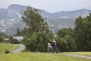 Balade en calèche à la Maison du Mulet