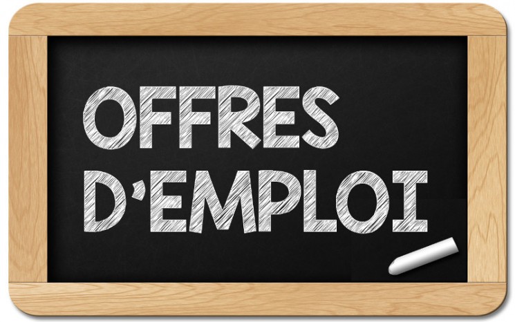 OFFRE D’EMPLOI