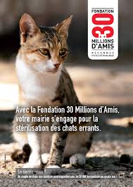 MESURES CONTRE LA PROLIFÉRATION DES CHATS ERRANTS