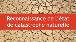 Arrêté du 3 avril 2023 portant reconnaissance de l'état de catastrophe naturelle