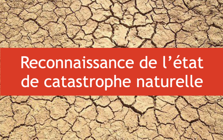 Arrêté du 3 avril 2023 portant reconnaissance de l’état de catastrophe naturelle