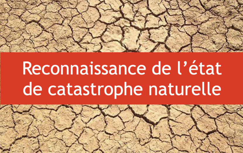 Arrêté du 3 avril 2023 portant reconnaissance de l’état de catastrophe naturelle
